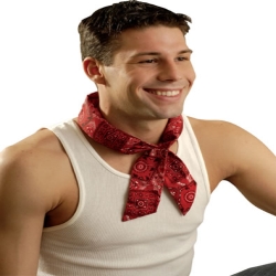 MiraCool Cooling Products