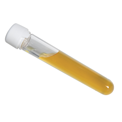 120mm Clear PET Aviator Tube with White Cap & Seal