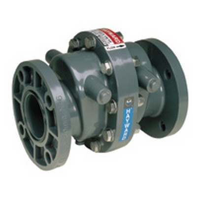 Hayward® Swing Check Valves