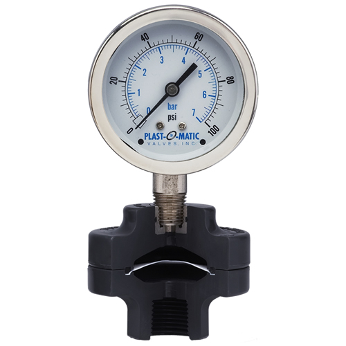 0-15 psi GFPP Gauge Guard with 2.5" SS Gauge & FKM Diaphragm